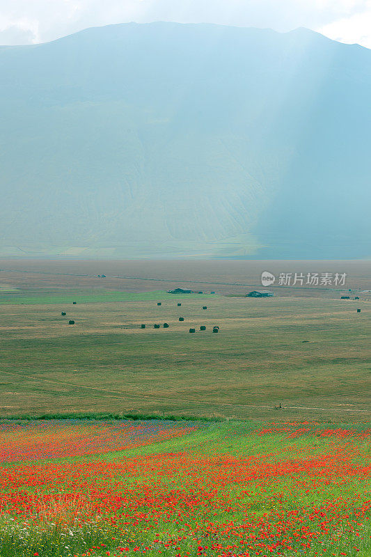 Piano Grande di Castelluccio(意大利)，绿色山丘上的村庄